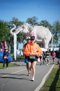 BIB: 
                            <button type="button" onclick="openModal(26542964)" class="btn btn-primary btn-sm float-right btn-popup" data-toggle="modal" data-target=".modal-high-quality">
                        <i class="fas fa-shopping-cart"></i> Add to Cart
                    </button>
                                            <button type="button" onclick="isThisMe(26542964, true)" class="btn btn-success btn-sm float-right btn-popup btn-isme hidden" data-toggle="tooltip" data-placement="bottom" title="นี่คือรูปของคุณใช่ไหม คลิกที่นี่เพื่อเอาเข้าอัลบั้ม">
                        <i class="fas fa-plus"></i> Add to album
                    </button>
                    <button type="button" onclick="isThisMe(26542964, false)" class="btn btn-warning btn-sm float-right btn-popup btn-isnotme hidden">
                        <i class="fas fa-ban"></i> Remove from album
                    </button>